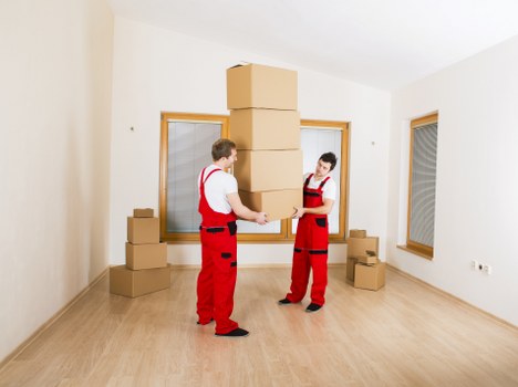 Professional movers carrying household items during a Plumstead relocation