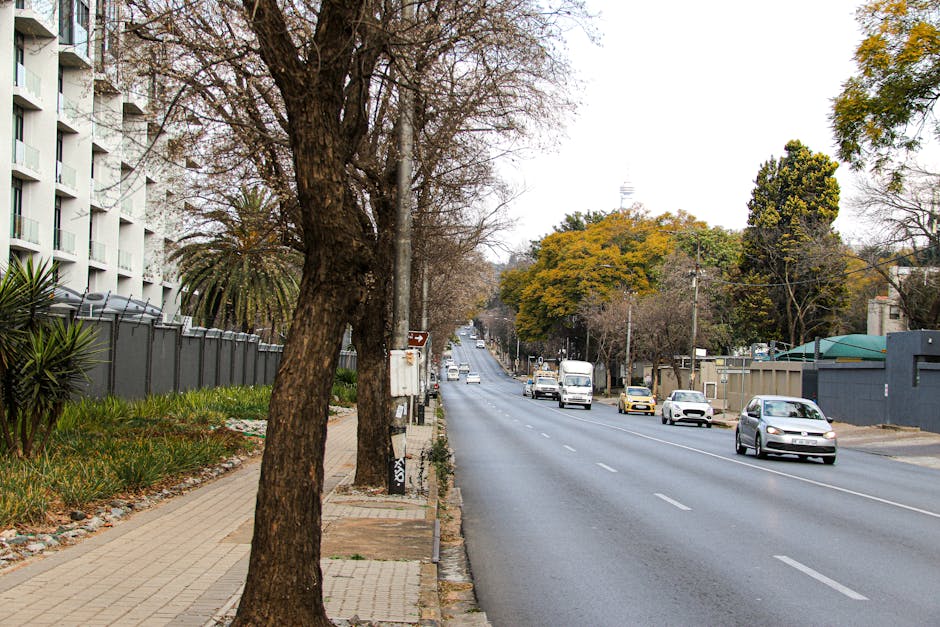 A residential street scene with a wide paved sidewalk on the left, bordered by trees with bare branches and some with green and yellow foliage. On the sidewalk, there are several large cardboard boxes and packed packages, likely prepared for home relocation, arranged near the trees. A large tree trunk is visible close to the camera, partially obscuring a grey metal fence that runs parallel to the sidewalk, with some plants and bushes in front of it. To the right, a multi-lane road features several vehicles, including a white van, small cars, and a delivery truck, moving in both directions. On the far side of the street, there are additional trees and mixed residential and commercial buildings, some with fences and gates. The scene appears to be during daytime with overcast lighting, and the overall setting suggests a typical urban environment where furniture transport and packing processes are ongoing, supported by professional removal services like Man With a Van Plumstead, especially relevant in regard to local council permit rules for large vehicles on such streets.